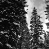 Durango, CO