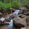 Pikes National Forest, CO